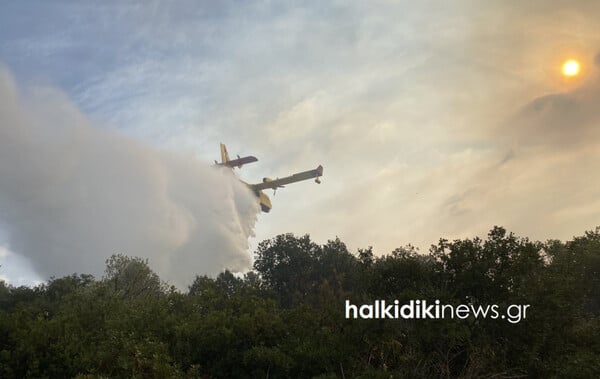 Φωτιά στη Χαλκιδική: Καίγονται ελαιόδεντρα κοντά σε οικισμούς