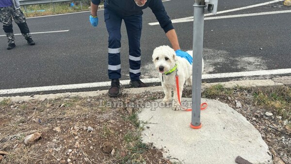 Φθιώτιδα: Θανατηφόρο τροχαίο με θύμα 54χρονο