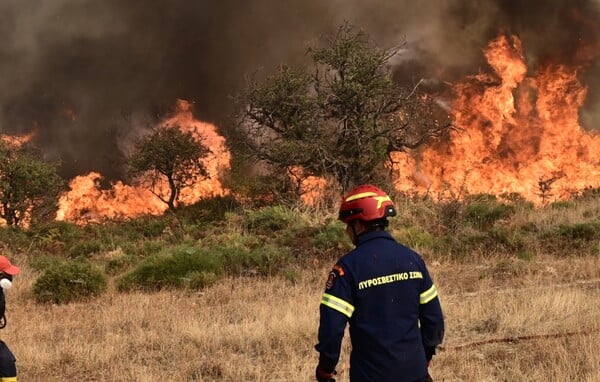 Φωτιά στην Αχαΐα: Ενισχύονται οι δυνάμεις της Πυροσβεστικής, απειλείται το δάσος της Στροφυλιάς