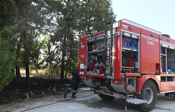 Φωτιά τώρα στην Αιτολωακαρνανία: Καίγεται χορτολιβαδική έκταση στη Ρούγα