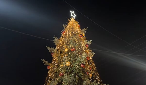 Φωταγωγήθηκε το πρώτο δέντρο για τα φετινά Χριστούγεννα στην Ελλάδα