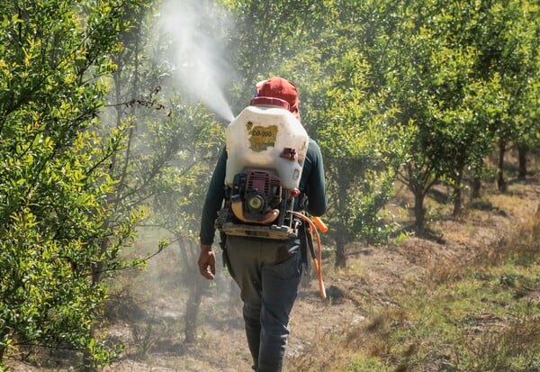 Le Monde: Το φυτοφάρμακο flufenacet έχει μολύνει το νερό στη Γαλλία και την υπόλοιπη Ευρώπη