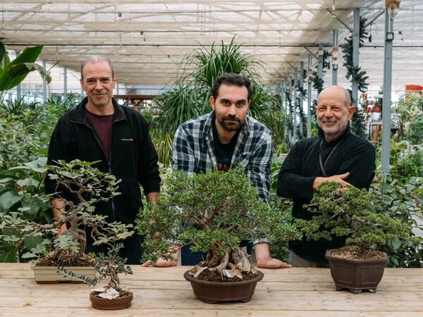 «Αν έχεις δεντράκια μπονσάι, είναι σαν να έχεις ζωάκια»