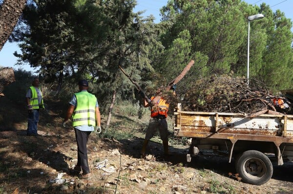 Δάση: Βροχή εκατομμυρίων για δράσεις προστασίας − υπάρχει αποτέλεσμα;