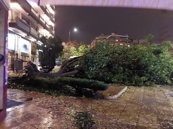 Κακοκαιρία στη Θεσσαλονίκη: Θυελλώδεις άνεμοι ξερίζωσαν δέντρα