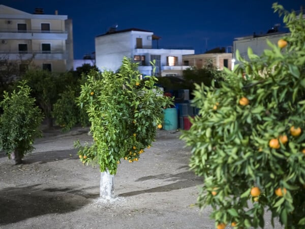 Μεταφυσική του 'Αργους (2)