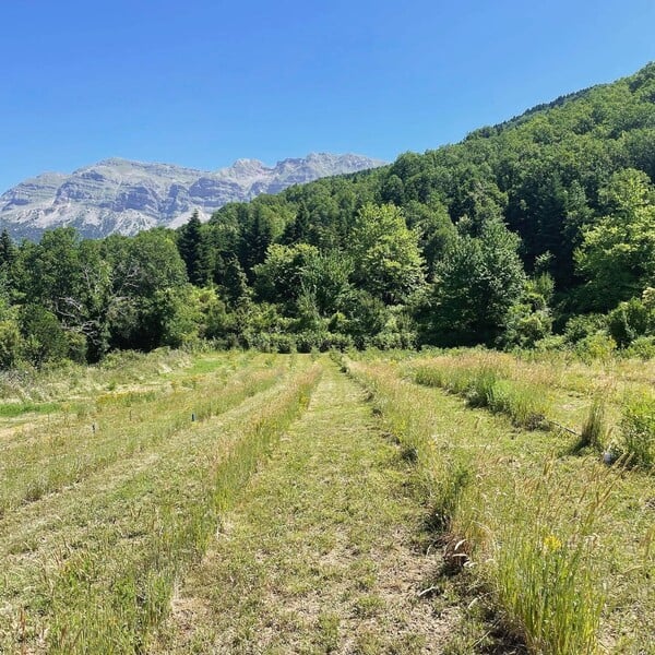 CHECK Η Ρούλα Αντωνίου άφησε τις πόλεις για την Καλλονή, ένα μικρό χωριό στα Τζουμέρκα, εκεί που η ψυχή ανασαίνει ελεύθερα.