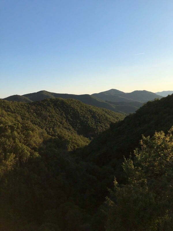 Η Ρούλα Αντωνίου άφησε τις πόλεις για την Καλλονή, ένα μικρό χωριό στα Τζουμέρκα, εκεί που η ψυχή ανασαίνει ελεύθερα.