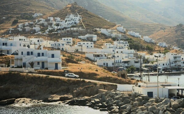 Μαζικές δηλητηριάσεις ζώων στη Σίφνο