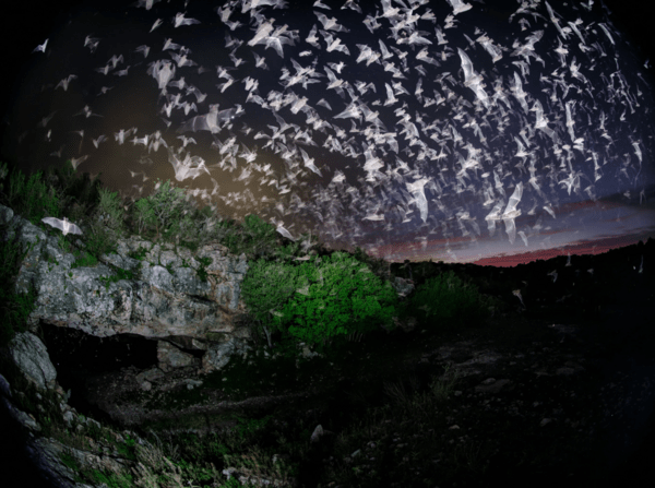 Οι φωτογραφίες της χρονιάς από το National Geographic