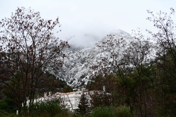 Χιόνισε στα ορεινά της Αττικής και οι φωτογραφίες είναι ειδυλλιακές