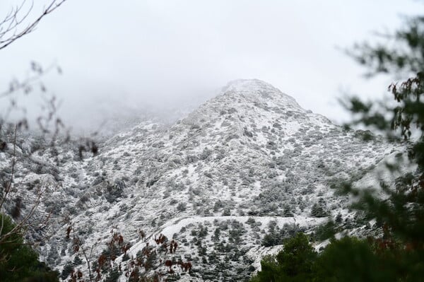 Χιόνισε στα ορεινά της Αττικής και οι φωτογραφίες είναι ειδυλλιακές