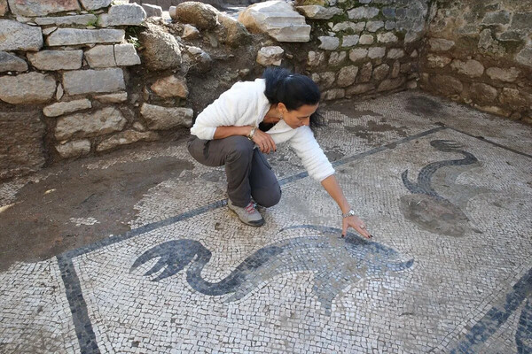 Μωσαϊκό με κροκόδειλους, φλαμίνγκο και δελφίνια ανακαλύφθηκε στην Ηράκλεια επί Λάτμον στη Μικρά Ασία