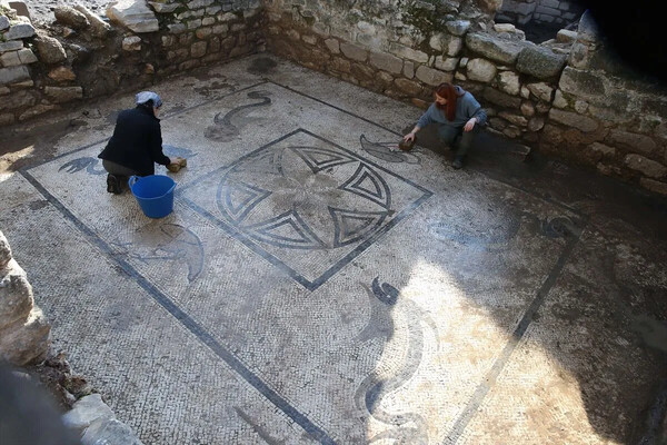 Μωσαϊκό με κροκόδειλους, φλαμίνγκο και δελφίνια ανακαλύφθηκε στην Ηράκλεια επί Λάτμον στη Μικρά Ασία