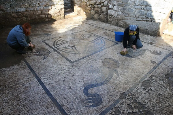 Μωσαϊκό με κροκόδειλους, φλαμίνγκο και δελφίνια ανακαλύφθηκε στην Ηράκλεια επί Λάτμον στη Μικρά Ασία