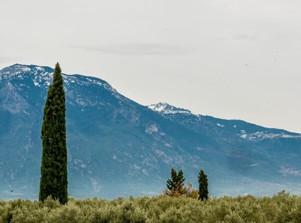 Καιρός - Κολυδάς: «Πτώση της θερμοκρασίας και πολλές βροχές από τις επόμενες ημέρες»