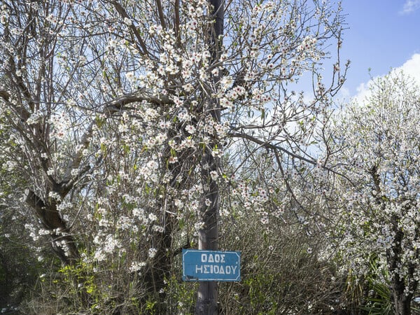 Αθήνα Δυτικά