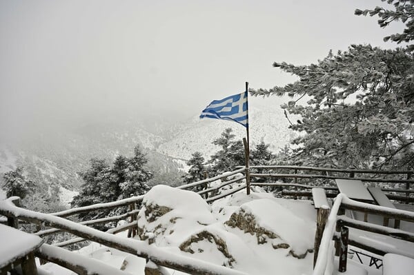 Κακοκαιρία Coral: Χιόνια στα βόρεια της Αττικής - «Ντύθηκε» στα λευκά Πάρνηθα