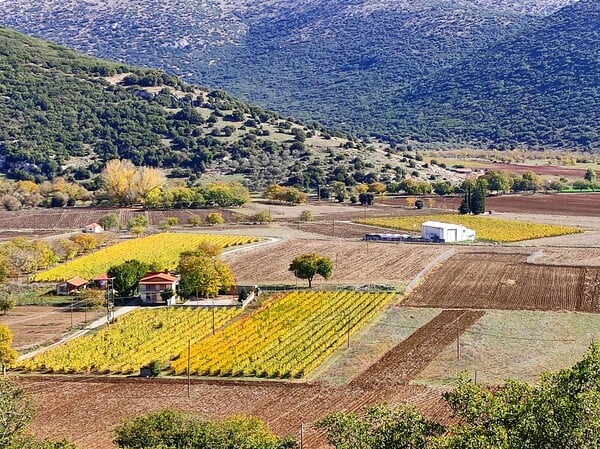 «Βγαίνεις ένα χειμωνιάτικο πρωινό από το σπίτι σου, ο ήλιος ανατέλλει και οι χιονισμένες βουνοκορφές βάφονται ροζ. Τι άλλο να ζητήσει κανείς από τη ζωή»;