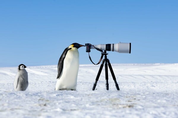 Οι νικητές και οι φιναλίστ του Nature Photography Contest 2024