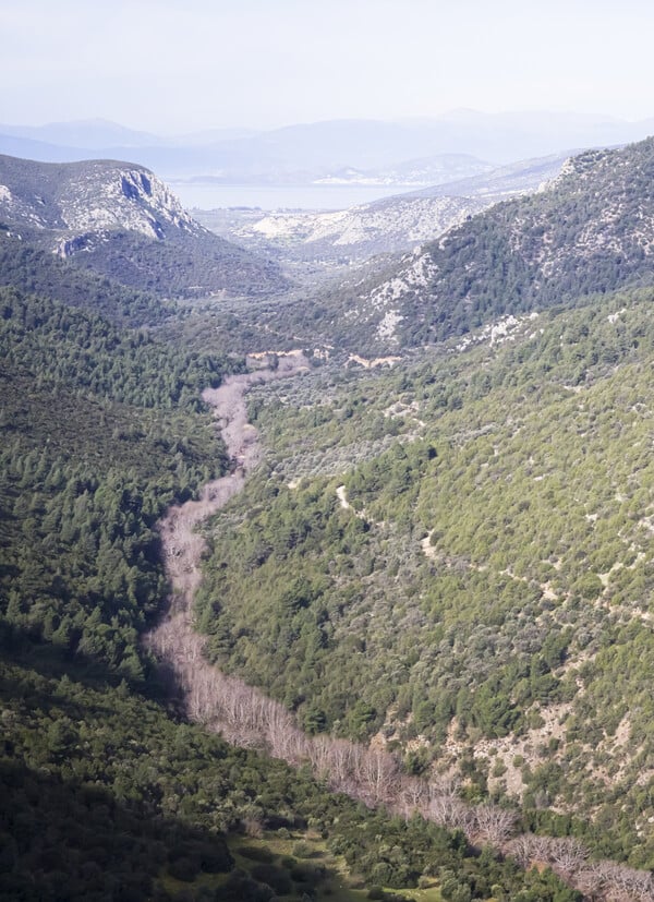 Μονή Αγίου Δημητρίου Αυγού, Δίδυμα