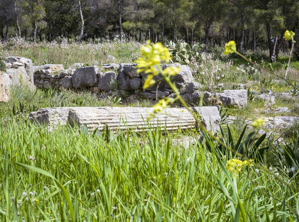 Ιερά Απόλλωνος Δειραδιώτη και Αθηνάς Οξυδερκούς