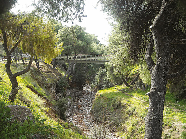 Τα Μελίσσια από την Νατάσα Γιανναράκη