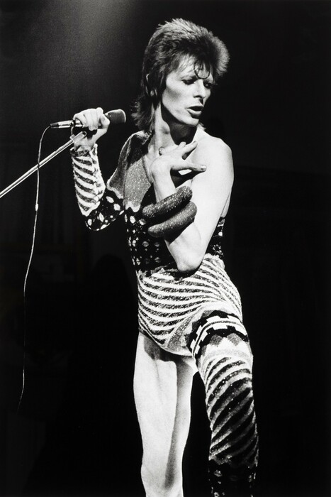 David Bowie