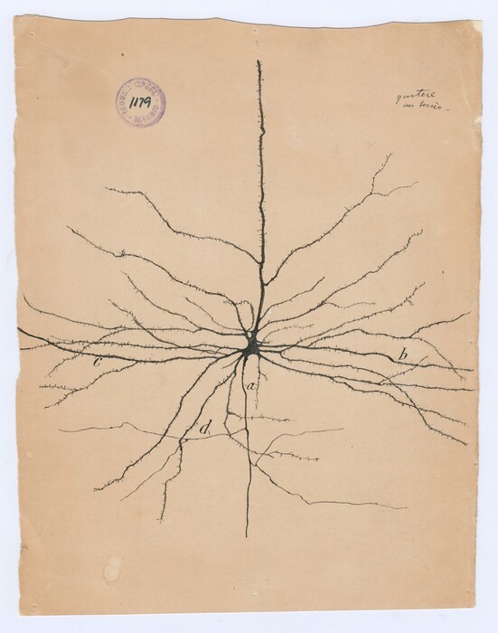 Santiago Ramón y Cajal, ο νομπελίστας ιατρικής που εικονογραφούσε υπέροχα