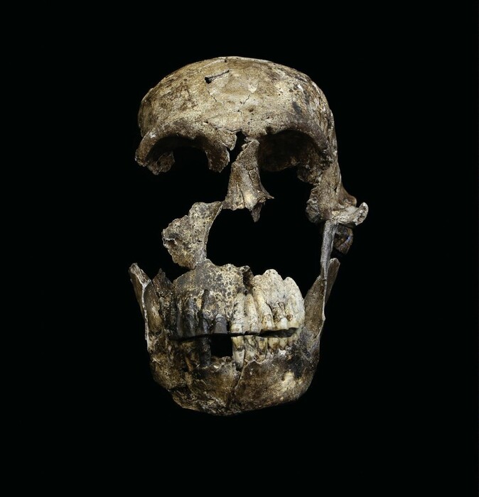 Ο Homo naledi, ο άγνωστος «συγγενής» του ανθρώπου αλλάζει όλα όσα ξέραμε για την εξέλιξη του είδους μας