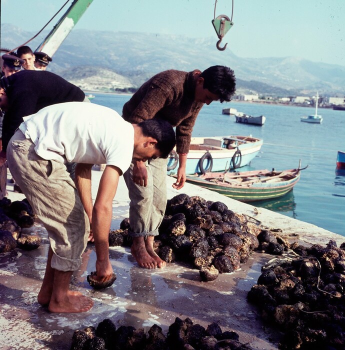 Σφουγγαράδες της δεκαετίας του '60