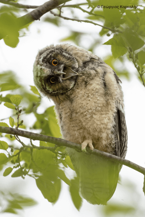 Η ομορφιά των ελληνικών περιοχών Natura 2000 σε 40 εντυπωσιακές φωτογραφίες