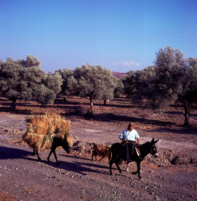 Oι άνθρωποι, τα χωριά, οι μονές και τα λιμάνια της Κρήτης του '70