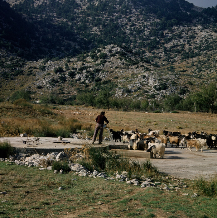 Κρήτη 