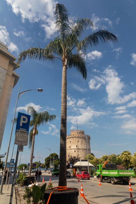 Θεσσαλονίκη: H Εθνικής Αμύνης γίνεται «Μαϊάμι» για την ταινία του Μπαντέρας- Εικόνες από τα γυρίσματα