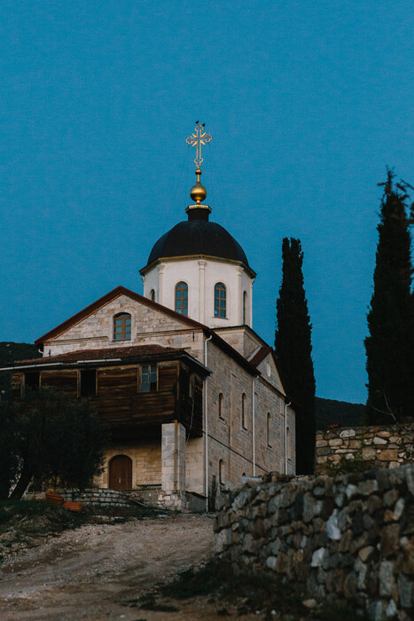 Ένας σπάνιος αμπελώνας