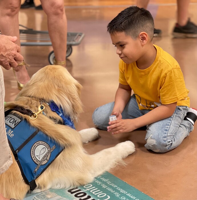 Τέξας: Οχτώ golden retriever προσπαθούν να παρηγορήσουν τους επιζώντες του μακελειού