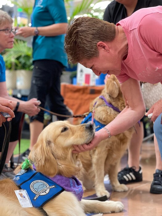 Τέξας: Οχτώ golden retriever προσπαθούν να παρηγορήσουν τους επιζώντες του μακελειού