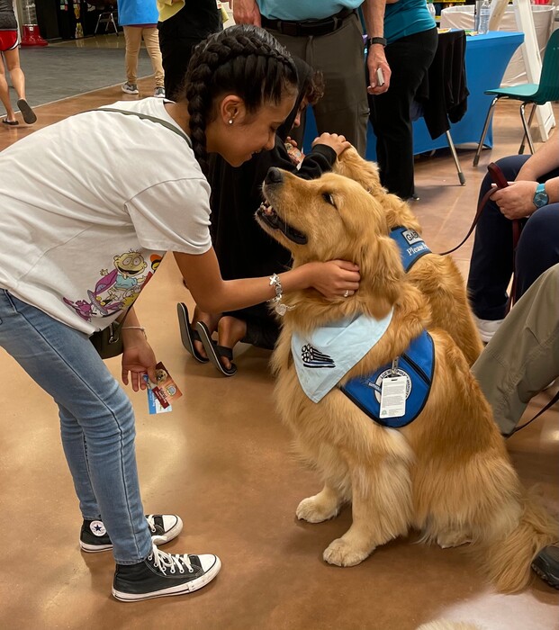 Τέξας: Οχτώ golden retriever προσπαθούν να παρηγορήσουν τους επιζώντες του μακελειού