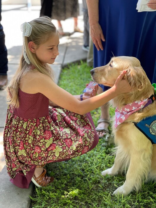 Τέξας: Οχτώ golden retriever προσπαθούν να παρηγορήσουν τους επιζώντες του μακελειού