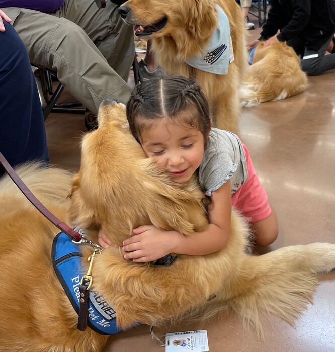 Τέξας: Οχτώ golden retriever προσπαθούν να παρηγορήσουν τους επιζώντες του μακελειού