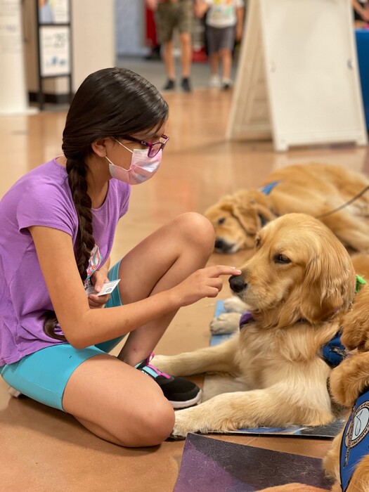 Τέξας: Οχτώ golden retriever προσπαθούν να παρηγορήσουν τους επιζώντες του μακελειού