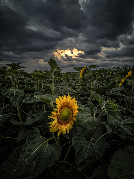 Weather Photographer of the Year: Μαγικά ουράνια τόξα, κεραυνοί και ακραία καιρικά φαινόμενα