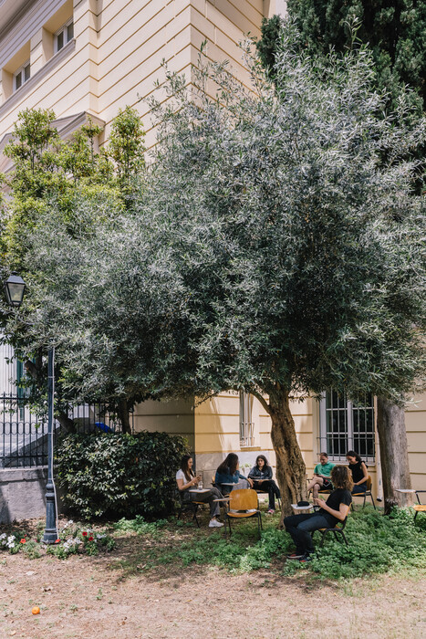 Μέσα στη βιβλιοθήκη της Νομικής Σχολής