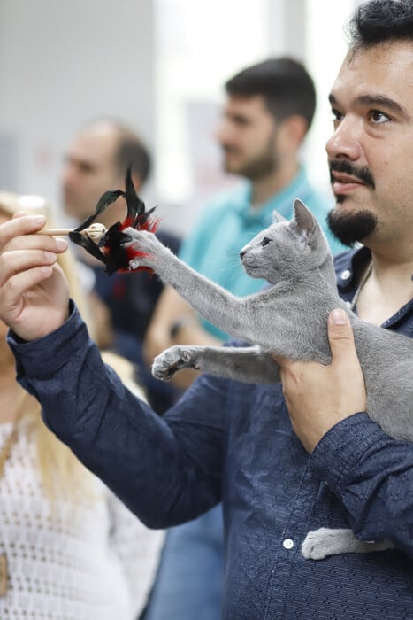 CAT EXPO 2023: Πραγματοποιήθηκε η Έκθεση Μορφολογίας Γάτας