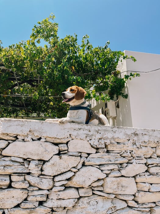 Ένα μικροσκοπικό εξοχικό σε έναν οικισμό της Σύρου