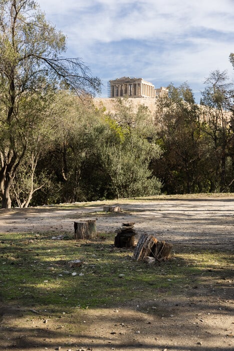 Λόφος Φιλοπάππου: Νεκρά δέντρα, παραίτηση και παρακμή