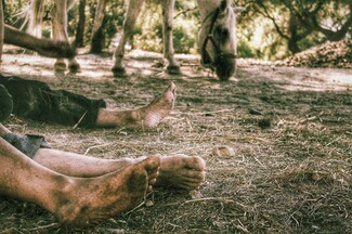 Η διάσημη νουβέλα του Κλάιστ, «Μίχαελ Κόλχαας», μεταφέρεται στη σκηνή