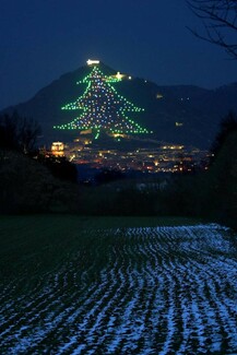 Italia: si accende il più grande albero di Natale del mondo. [ΕΙΚΟΝΕΣ&ΒΙΝΤΕΟ]