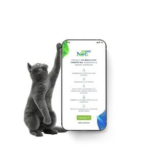 COSMOTE Neo: Η πρώτη digital κινητή, όπου όλα ξεκινούν με μία «σέλφι»